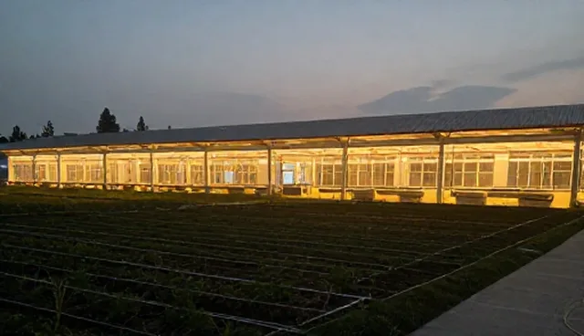 定制化技术开发:选型关注点分析